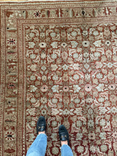 Load image into Gallery viewer, Vintage Mahal 6’7” x 11’2”