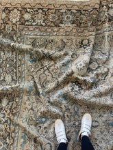 Load image into Gallery viewer, Designer Large Area Rug #107 9’ x 12’1”