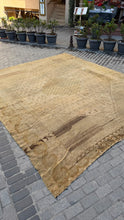 Load image into Gallery viewer, Custom Sourced 11’8” x 13’9” Kars Rug
