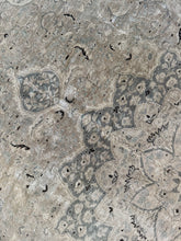 Load image into Gallery viewer, Vintage Persian 6’11” x 9’
